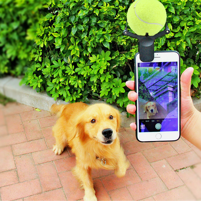 Pet photo props toy pet photo selfie artifact funny dog camera phone clip tennis selfie clip 5 Pet photo props toy pet photo selfie artifact funny dog camera phone clip tennis selfie clip - Afbeelding 5