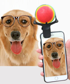Alternative view of Pet photo props toy pet photo selfie artifact funny dog camera phone clip tennis selfie clip