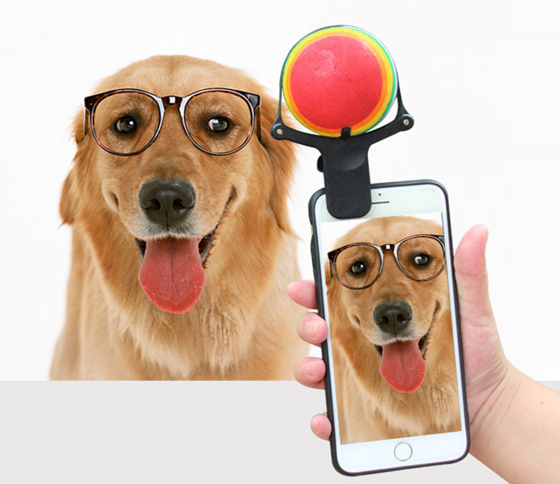 Pet photo props toy pet photo selfie artifact funny dog camera phone clip tennis selfie clip 2 Pet photo props toy pet photo selfie artifact funny dog camera phone clip tennis selfie clip - Afbeelding 2