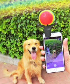 Pet photo props toy pet photo selfie artifact funny dog camera phone clip tennis selfie clip