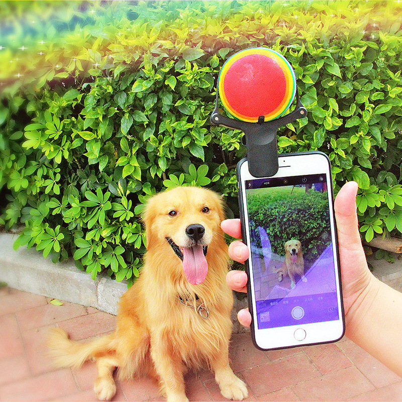 Pet photo props toy pet photo selfie artifact funny dog camera phone clip tennis selfie clip 1 Pet photo props toy pet photo selfie artifact funny dog camera phone clip tennis selfie clip