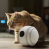 Huisdier Gezelschapsrobot Kattenbewaking 11 Huisdier Gezelschapsrobot Kattenbewaking