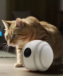 Huisdier Gezelschapsrobot Kattenbewaking