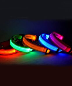 Nylon LED Pet Dog Luminous Collar Night Safety Flashing Glow in Dark Dog Cat Leash Adjustable Pet Supplies