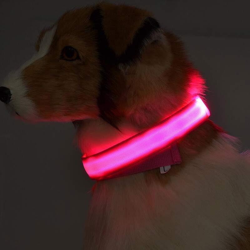 Nylon LED Pet Dog Luminous Collar Night Safety Flashing Glow in Dark Dog Cat Leash Adjustable Pet Supplies - Afbeelding 4