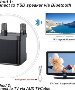 Portable Bluetooth Karaoke Machine With 2 Wireless Microphones 3000mAh Rechargeable Party Speaker Support AUX USB TF