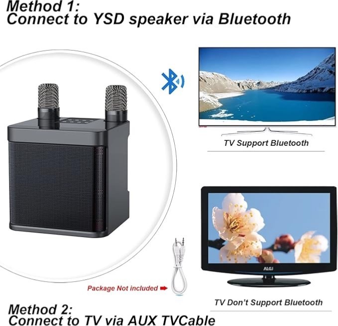 Portable Bluetooth Karaoke Machine With 2 Wireless Microphones 3000mAh Rechargeable Party Speaker Support AUX USB TF