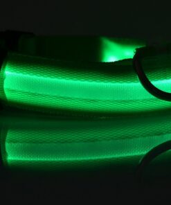 Alternative view of Nylon LED Pet Dog Luminous Collar Night Safety Flashing Glow in Dark Dog Cat Leash Adjustable Pet Supplies
