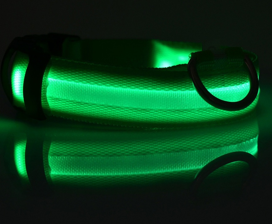 Nylon LED Pet Dog Luminous Collar Night Safety Flashing Glow in Dark Dog Cat Leash Adjustable Pet Supplies - Afbeelding 2