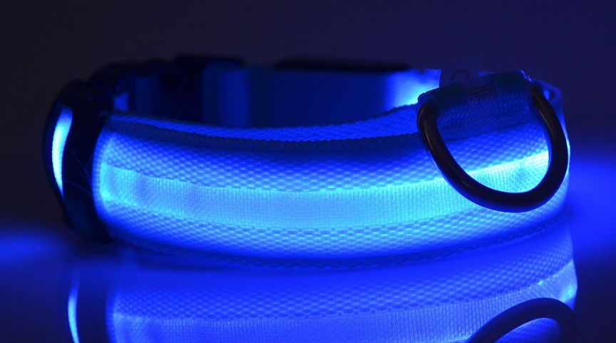 Nylon LED Pet Dog Luminous Collar Night Safety Flashing Glow in Dark Dog Cat Leash Adjustable Pet Supplies - Afbeelding 5