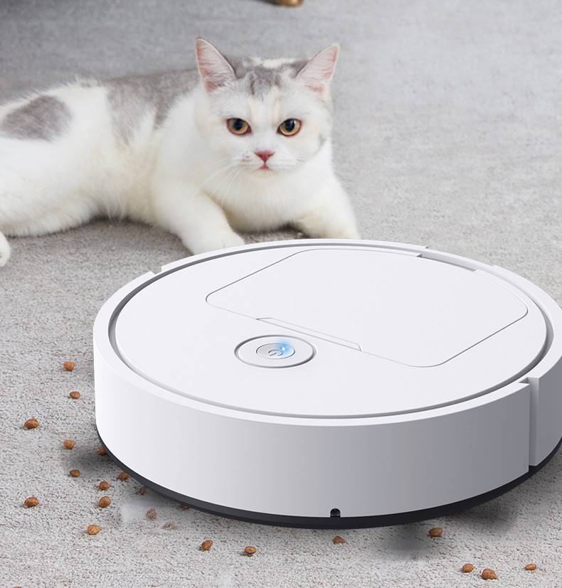 Intelligente Veeg- en Dweilrobot 1 Intelligente Veeg- en Dweilrobot
