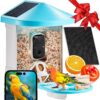 Smart Bird Feeder With Camera AI Identify 10000+ Bird Specie Solar-Powered 26 Smart Bird Feeder With Camera AI Identify 10000+ Bird Specie Solar-Powered