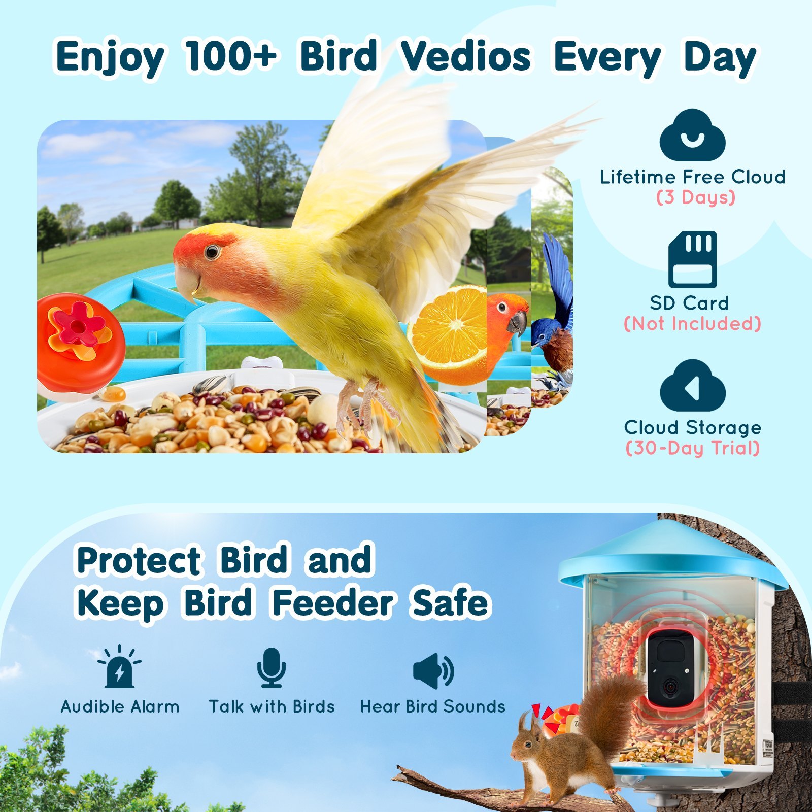 Smart Bird Feeder With Camera AI Identify 10000+ Bird Specie Solar-Powered 5 Smart Bird Feeder With Camera AI Identify 10000+ Bird Specie Solar-Powered - Afbeelding 5
