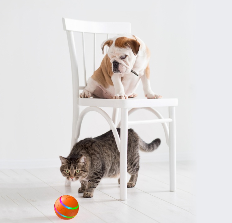 Pet New Cat Wicked Ball Toy Intelligent Ball USB Cat Toys Self Rotating Ball Automatic Rotation Ball - Afbeelding 5