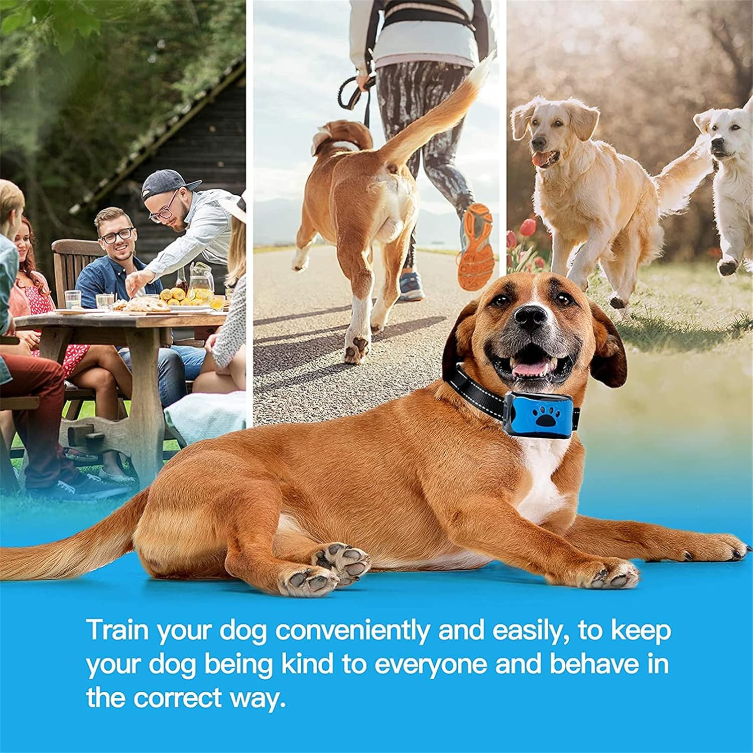 3-in-1 Anti-Blafhalsband Trainingshalsband voor Honden, Waterdicht 2 3-in-1 Anti-Blafhalsband Trainingshalsband voor Honden, Waterdicht - Afbeelding 2