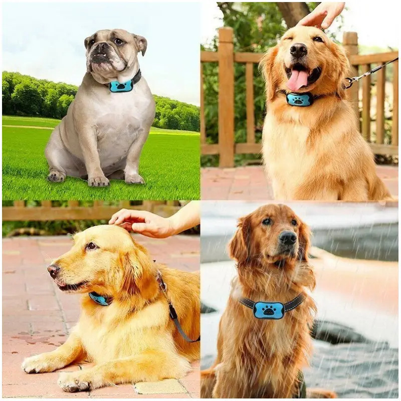3-in-1 Anti-Blafhalsband Trainingshalsband voor Honden, Waterdicht 7 3-in-1 Anti-Blafhalsband Trainingshalsband voor Honden, Waterdicht - Afbeelding 7