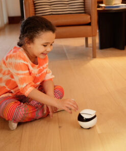 Home 19 Smart Home Gezelschapsrobot met Afstandsbediening
