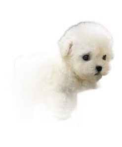 Robot Puppy Kort Pluche Pop - afbeelding 2