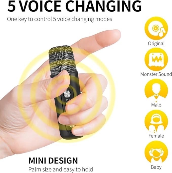 Portable Bluetooth Karaoke Machine With 2 Wireless Microphones 3000mAh Rechargeable Party Speaker Support AUX USB TF - Image 2