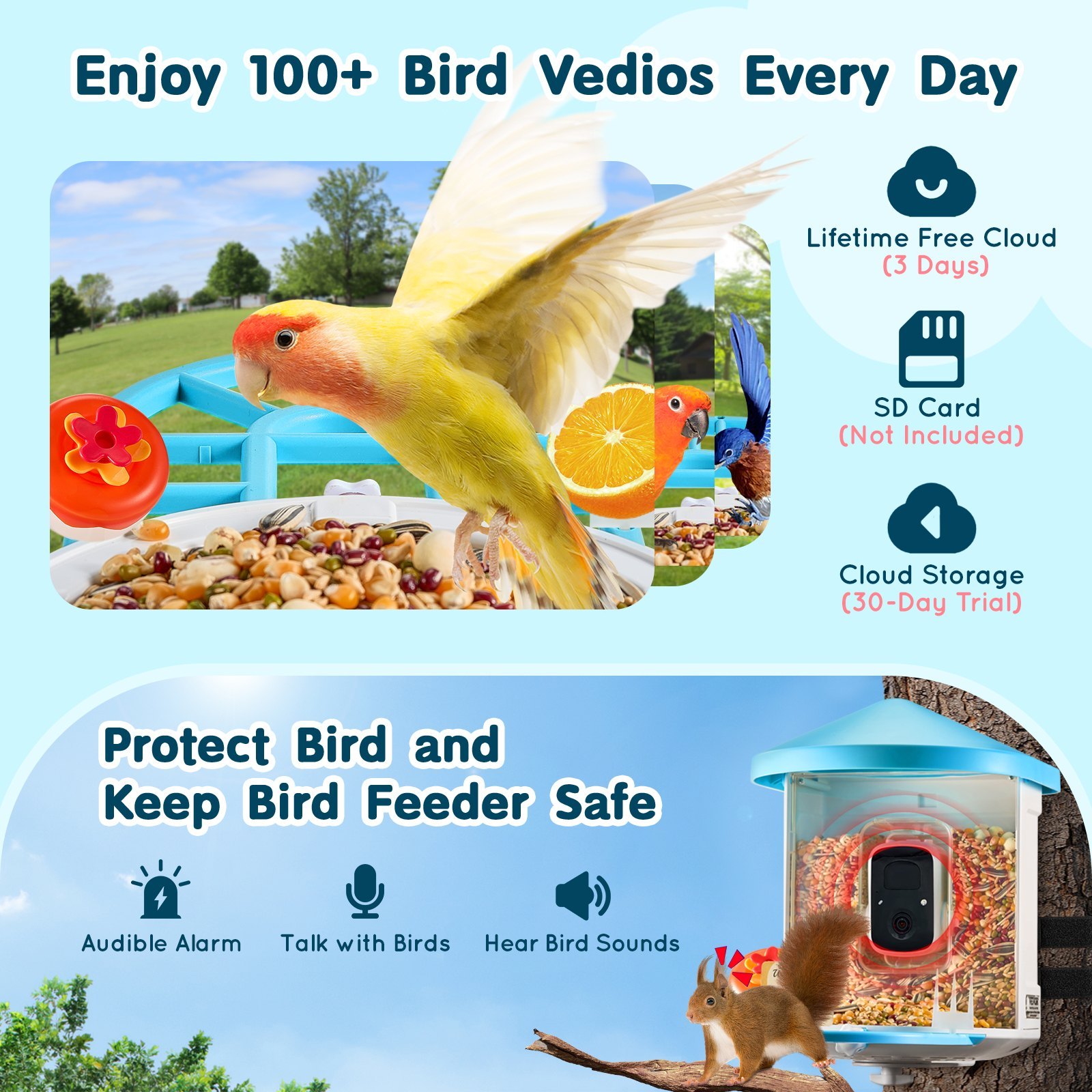 VEVOR Smart Bird Feeder With Camera 2K HD AI Identify Bird Species Auto Capture 21 VEVOR Smart Bird Feeder With Camera 2K HD AI Identify Bird Species Auto Capture - Afbeelding 5