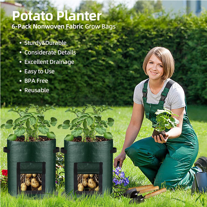 10 Gallon -6 Pack Potato Grow Bags, Heavy Duty PE Fabric Pots With Flap And Handles, Green Planter Bags For Potato Vegetables Outdoor Garden, For All Plants Growing 7 10 Gallon -6 Pack Potato Grow Bags, Heavy Duty PE Fabric Pots With Flap And Handles, Green Planter Bags For Potato Vegetables Outdoor Garden, For All Plants Growing - Afbeelding 7