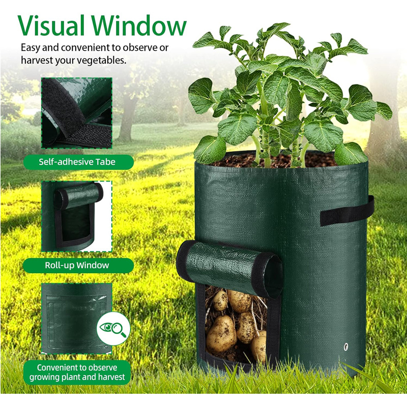10 Gallon -6 Pack Potato Grow Bags, Heavy Duty PE Fabric Pots With Flap And Handles, Green Planter Bags For Potato Vegetables Outdoor Garden, For All Plants Growing 6 10 Gallon -6 Pack Potato Grow Bags, Heavy Duty PE Fabric Pots With Flap And Handles, Green Planter Bags For Potato Vegetables Outdoor Garden, For All Plants Growing - Afbeelding 6
