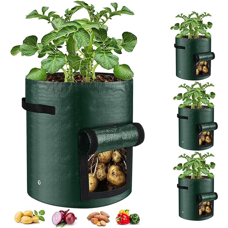 10 Gallon -6 Pack Potato Grow Bags, Heavy Duty PE Fabric Pots With Flap And Handles, Green Planter Bags For Potato Vegetables Outdoor Garden, For All Plants Growing 1 10 Gallon -6 Pack Potato Grow Bags, Heavy Duty PE Fabric Pots With Flap And Handles, Green Planter Bags For Potato Vegetables Outdoor Garden, For All Plants Growing