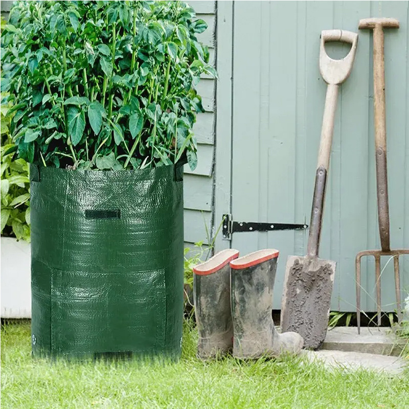 10 Gallon -6 Pack Potato Grow Bags, Heavy Duty PE Fabric Pots With Flap And Handles, Green Planter Bags For Potato Vegetables Outdoor Garden, For All Plants Growing 9 10 Gallon -6 Pack Potato Grow Bags, Heavy Duty PE Fabric Pots With Flap And Handles, Green Planter Bags For Potato Vegetables Outdoor Garden, For All Plants Growing - Afbeelding 9