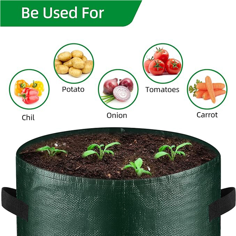 10 Gallon -6 Pack Potato Grow Bags, Heavy Duty PE Fabric Pots With Flap And Handles, Green Planter Bags For Potato Vegetables Outdoor Garden, For All Plants Growing 4 10 Gallon -6 Pack Potato Grow Bags, Heavy Duty PE Fabric Pots With Flap And Handles, Green Planter Bags For Potato Vegetables Outdoor Garden, For All Plants Growing - Afbeelding 4